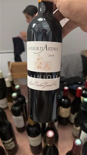 Bordeaux Saint-Émilion Grand Cru Grand Cru La Fleur Arthus 2019