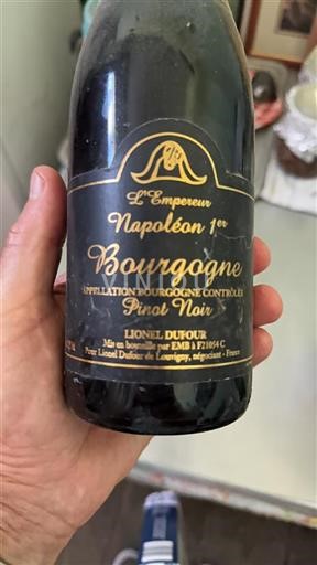 Bourgogne Lionel Dufour L'Empereur Napoléon 1er 2000