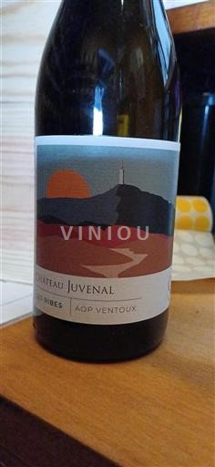 Rhône Valley Ventoux Château Juvenal Les Ribes Non-Vintage