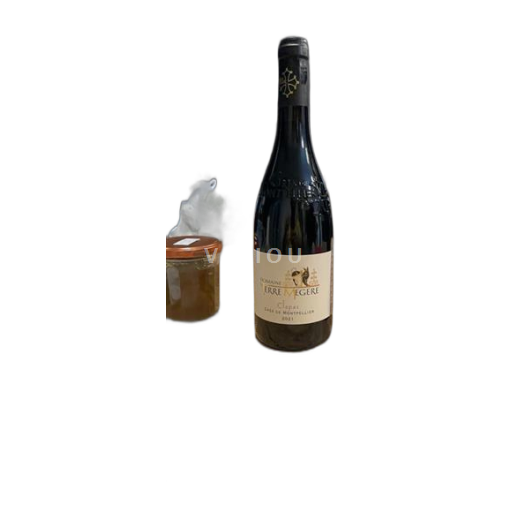 Linguadoca Grès di Montpellier Domaine Terre Mégère Clapas 2021