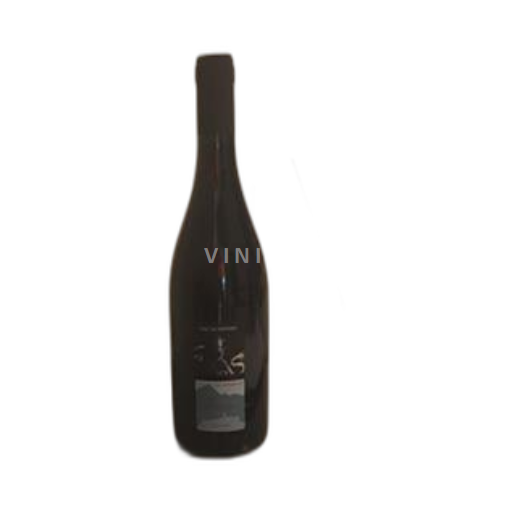 Piemonte Barbera d'Alba Val di Spinso Il Segreto 2024