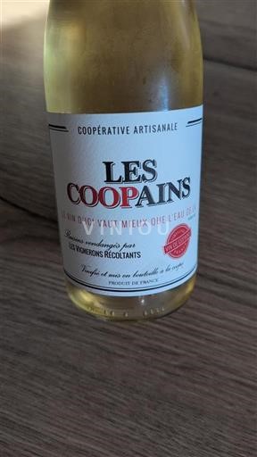 Linguadoca e Rossiglione Côtes de Thongue Les Copains 2022