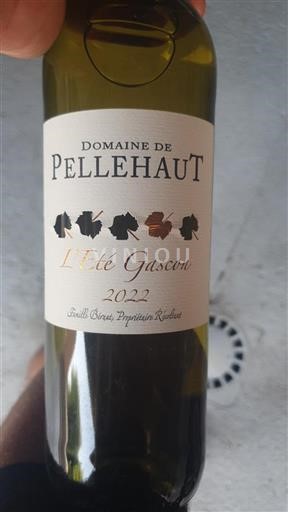 Sudoeste Não especificado Domaine Pellehaut L'Été Gascon 2022
