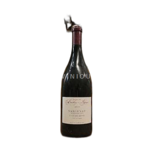Bourgogne Santenay Domaine Bachey-Legros Clos des Hâtes 2019