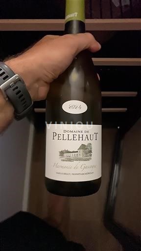 Vin Blanc sec Harmonie de Gascogne Domaine Pellehaut 2024 France Sud-Ouest Côtes de Gascogne