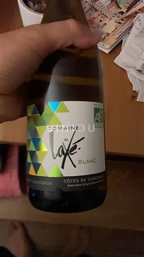 Vin Blanc sec Domaine Laxé 2024 France Sud-Ouest Côtes de Gascogne IGP bio