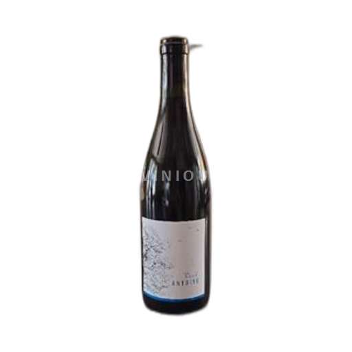 Vin Rouge sec Michon et Fils Non millésimé France Poitou-Charentes Vin de France bio