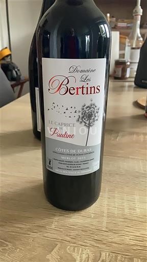 Sud-Ouest Côtes-de-duras Domaine Les Bertins Le Caprice de Pauline 2023