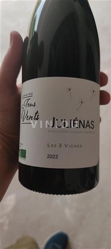 Beaujolais Juliénas Domaine En Tous Vents Les 3 Vignes 2022