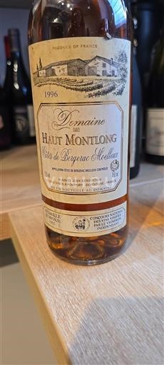 Sudoeste Não especificado Domaine Haut Montlong 1996