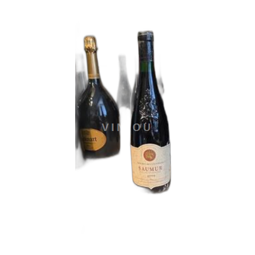 Valle del Loira Saumur Réserve des Vignerons 1999