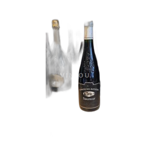 Valle della Loira Saumur Domaine Des Raynières 1997