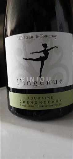 Údolí Loiry Touraine-chenonceaux Château Fontenay l'ingénue 2022