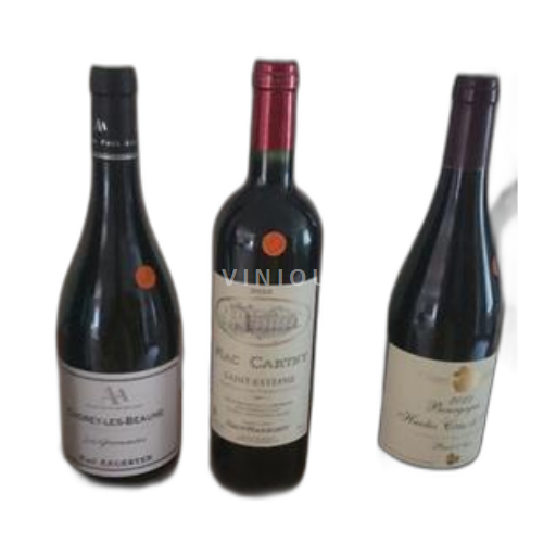 Vin Rouge sec Château Mac Carthy 2022 France Bordeaux Saint-Estèphe AOC