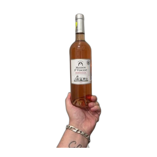 Bordeaux Mission St Vincent 2021