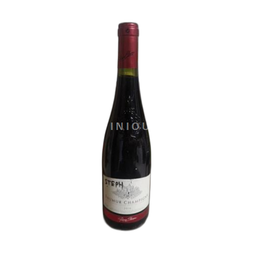 Vallée de la Loire Saumur-champigny Pierre Chavin 2016