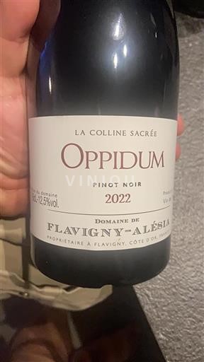 Vin Rouge sec La Colline Sacrée Flavigny-Alésia 2022 France Bourgogne AOC