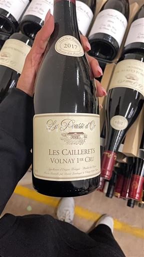 Borgoña No especificado Premier Cru La Pousse Or Les Caillerets 2017