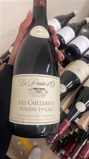 Borgoña No especificado Premier Cru La Pousse Or Les Caillerets 2017