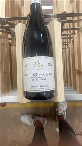 Borgonha Borgonha Côte d'Or Pierre Morey 2022