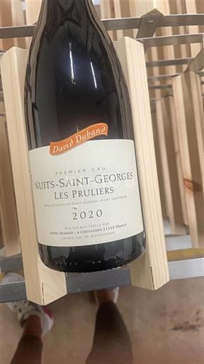 Borgoña Nuits-Saint-Georges Premier Cru David Duband Les Pruliers 2020