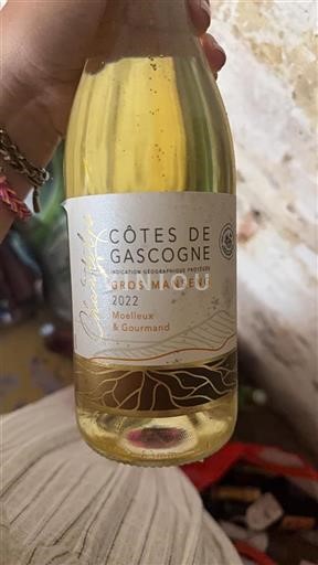 Jihozápad Côtes de Gascogne Chanteloup 2022