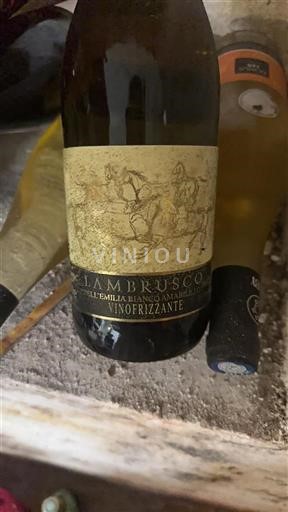 Emilia-Romagna Non specificato Vinofrizzante Senza annata