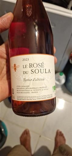Linguadoca e Rossiglione Côtes catalanes Le Soula Le Rosé du Soula 2023