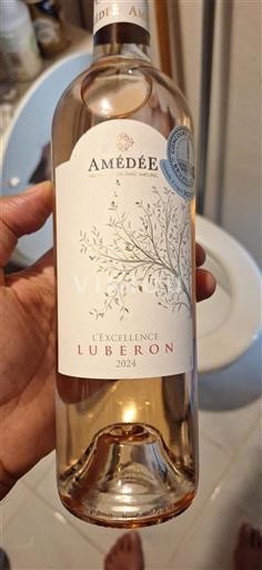 Vallée du Rhône Luberon Amédée L'Excellence 2024