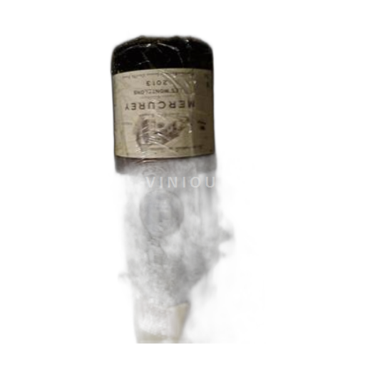 Borgogna Mercurey Château Santenay Les Montelons 2013