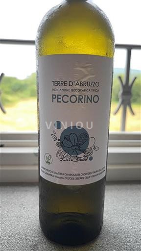 Abruzzo Not Specified Pecorino 2024