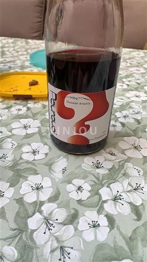 Linguadoca e Rossiglione Côtes catalanes Domaine Arquiris Pourquoi 2022