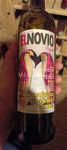 Vin Blanc sec El Novio Perfecto 2023 Espagne Catalogne DO