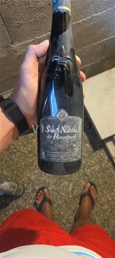 Valle della Loira Saint-Nicolas-De-Bourgueil Héritiers A.D 2018