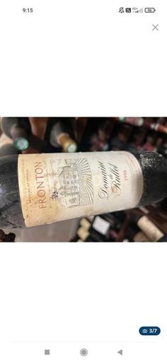 Sydvestfrankrig Fronton Domaine Buille 1998