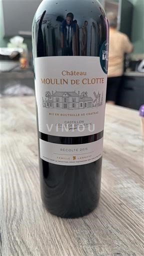 Bordeaux Castillon-côtes-de-bordeaux Château Moulin de Clotte 2015