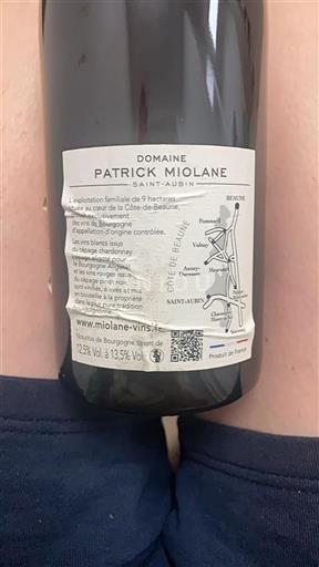 Borgogna Saint-Aubin Premier Cru Domaine Patrick Miolane 2017