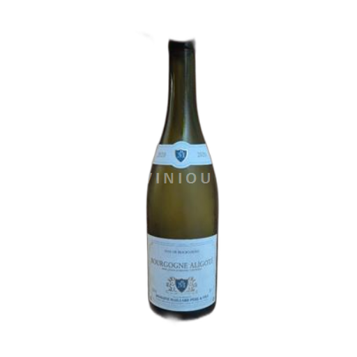 Bourgogne Bourgogne Aligoté Domaine Maillard Père & Fils 2020