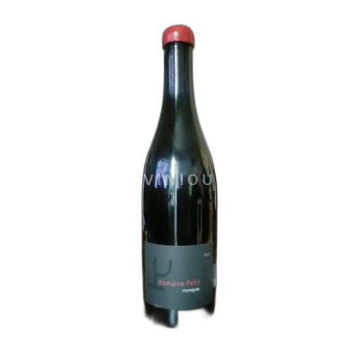 Loire Valley Sancerre Domaine Pellé morogues 2023