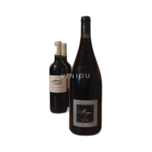 Beaujolais Morgon Jean-Philippe Guillot 2022