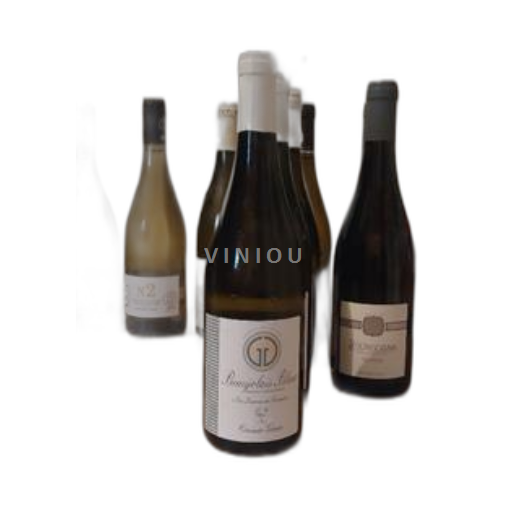 Beaujolais Non specificato Corinne Gonin Les Larmes de Suzanne 2022