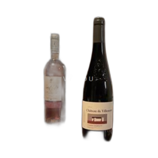 Loire Valley Saumur-Champigny Château Villeneuve 2021