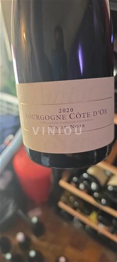 Borgonha Borgonha Côte d'Or Pinot Noir 2020