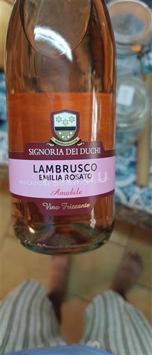 Emilie-Romagne Lambrusco Signoria Dei Duchi Amabile Non Millésimé