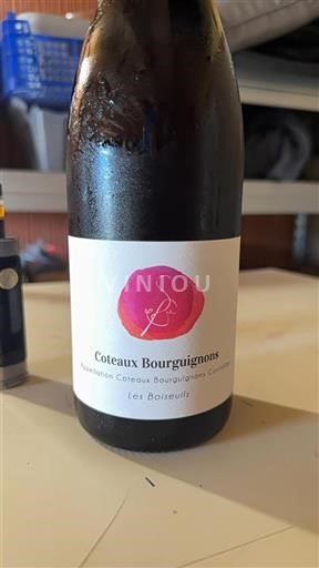 Borgogna Coteaux borgognoni Les Boiseuils 2022