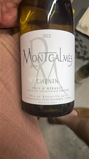 Linguadoca Non specificato Montcalmès Chenin 2022