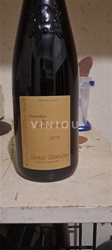 Vallée de la Loire Saumur-champigny Domaine Des Grillemonts 2019