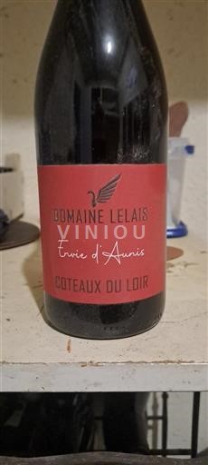 Valle della Loira Coteaux-du-loir Domaine Lelais Envie d'Aunis Senza annata