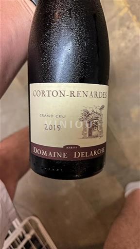 Borgogna Corton-Bressandes Grand Cru Domaine Delarche 2019