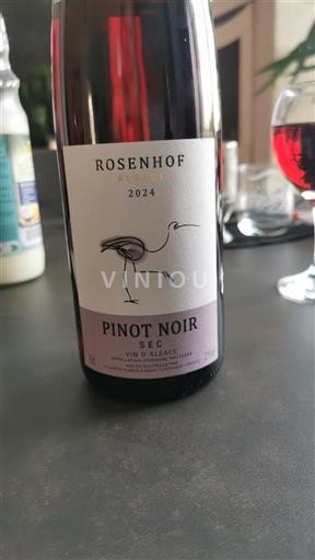 Alsace Ikke specificeret Rosenhof 2024